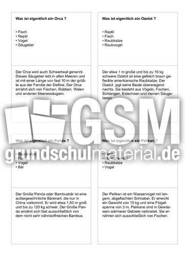Tiernamen 17.pdf